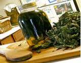 photo of fresh nettle and a jar of homemade nettle infusion